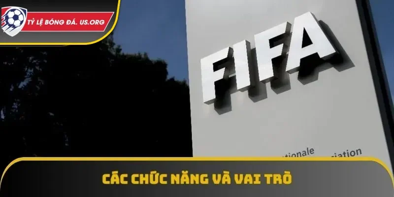 Các chức năng và vai trò