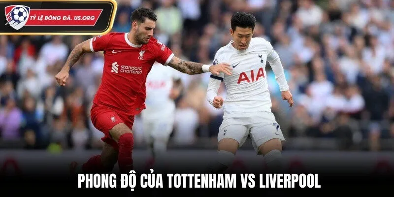 Đánh giá phong độ thi đấu thời gian qua của Tottenham vs Liverpool