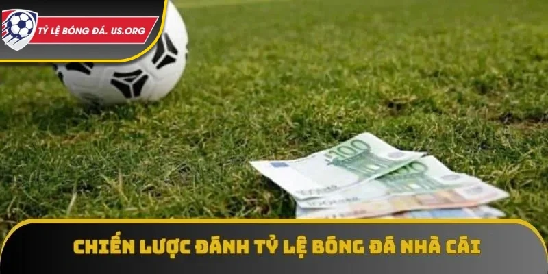 Chiến lược đánh tỷ lệ nhà cái là rất quan trọng